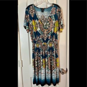 En Focus Woman Dress, Size 14W